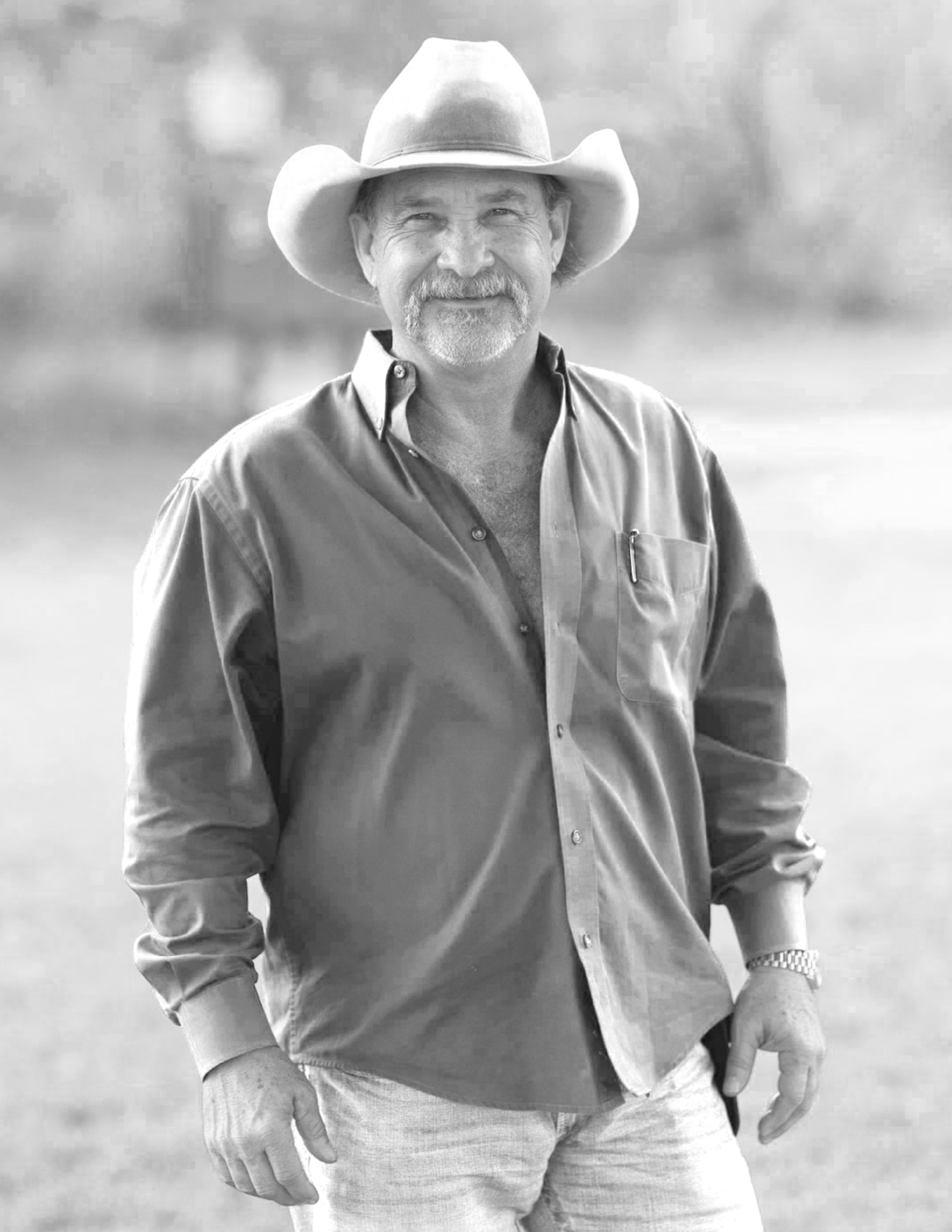Mitch Stephen
